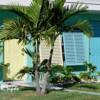 "Marathon Motel"
Florida Keys